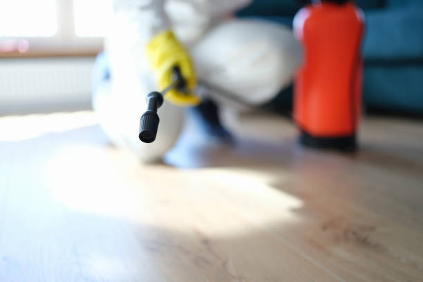 Reliable Richmond, UT Mold Removal Solutions